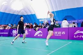 球衣颜色相近？当值主裁把维罗纳与乌迪内斯搞混了