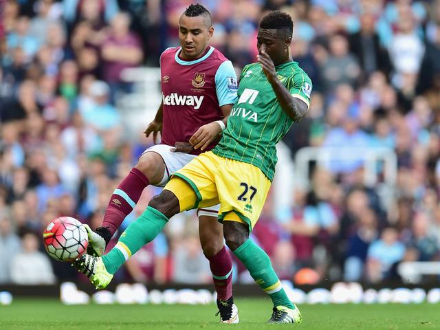 后翼弃子 后翼弃子